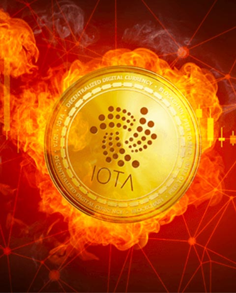 We provide you complete end to end services for iota tangle development