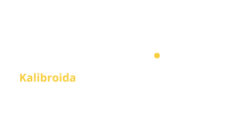 A Odoo Implementation Company